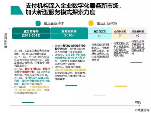 中國支付行業產業數字化服務專題分析2021 數字內容制作服務